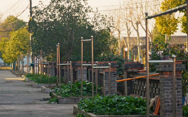 晾晒”晒出乡村新生活湖北洪湖烟草：“便民(图1)